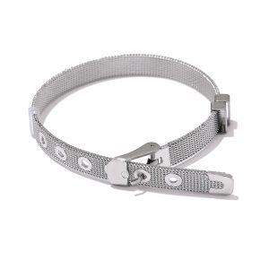 Buckle Silber