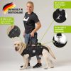 Ganzkörpertragehilfe für Hunde – Bild 3