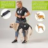 Ganzkörpertragehilfe für Hunde – Bild 4