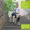 Ganzkörpertragehilfe für Hunde