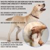 Liegeschwielen- / Ellenbogen Bandage für Hunde – Bild 4