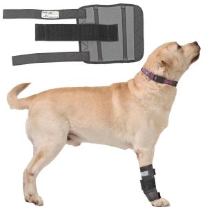 Nature Pet Medium Handgelenk Bandage für Hunde