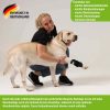 Nature Pet Medium Handgelenk Bandage für Hunde – Bild 2