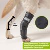 Sprunggelenk Bandage für Hunde – Bild 2