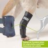 Sprunggelenk Bandage für Hunde – Bild 3