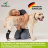 Sprunggelenk Bandage für Hunde