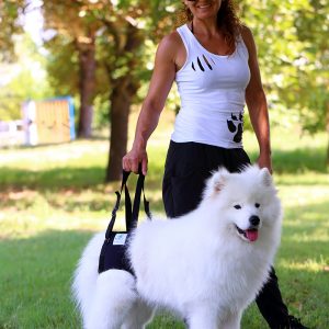 Hunde Tragehilfe hinten