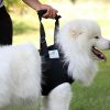 Hunde Tragehilfe vorne