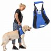 Hunde Tragehilfe vorne – Bild 2