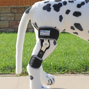 Kniebandage für Hunde