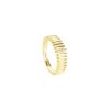 Bisan Ring – Bild 2